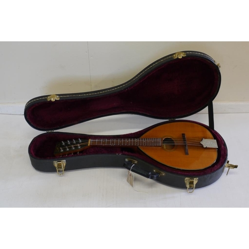 335 - Flyde mandolin in case