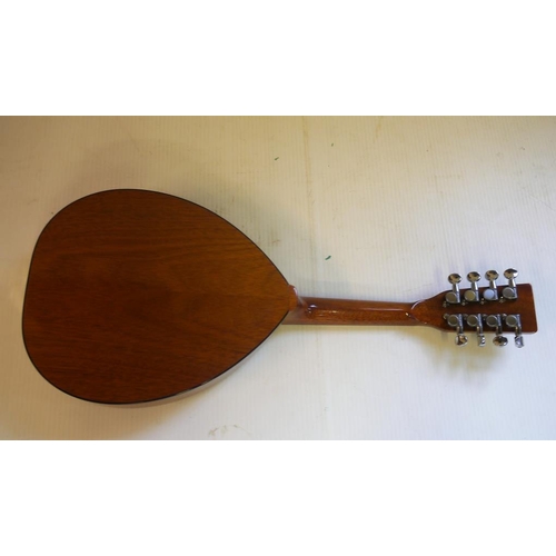 335 - Flyde mandolin in case