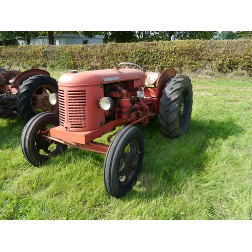 584 - David Brown 25C tractor Reg. WEV 716