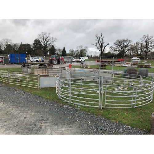 160 - WM Ironworks sheep handling system complete with 14ft forcing pen, drafting gates, suitable for 1000... 