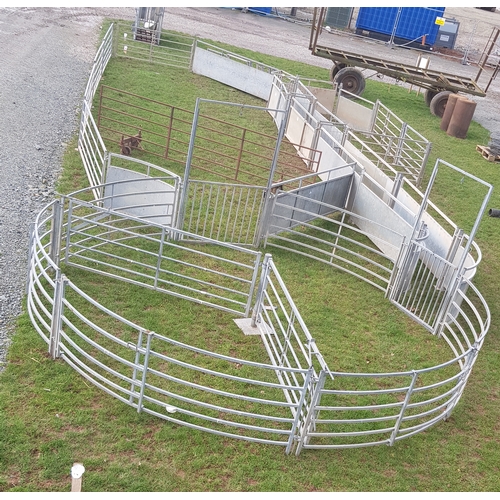 160 - WM Ironworks sheep handling system complete with 14ft forcing pen, drafting gates, suitable for 1000... 