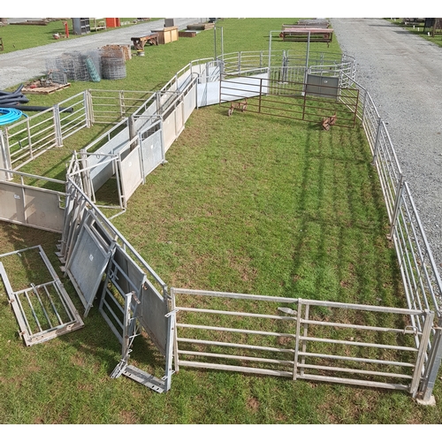 160 - WM Ironworks sheep handling system complete with 14ft forcing pen, drafting gates, suitable for 1000... 