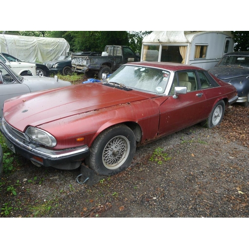 230 - Jaguar XJS 5.3ltr V12. Red. Runs, with key Reg. NSU 712