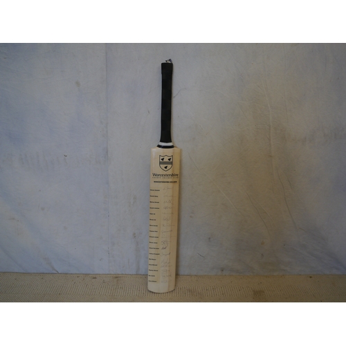 371 - Duncan Fearnley cricket bat signed by 17 members of 2008 Worcestershire CC team including Graeme Hic... 