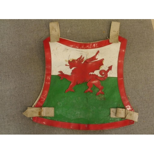 536 - Speedway racing jacket- Welsh flag No.7