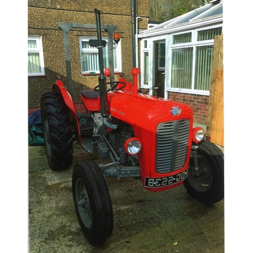 1587 - Massey Ferguson 35X tractor. 1964. Purchased in 2008. Refurbished 2009/10. Reconditioned engine etc,... 