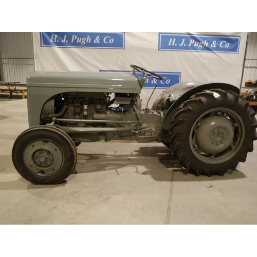 99 - Ferguson Vineyard tractor, Petrol, New wheels, Front wheel weights.44