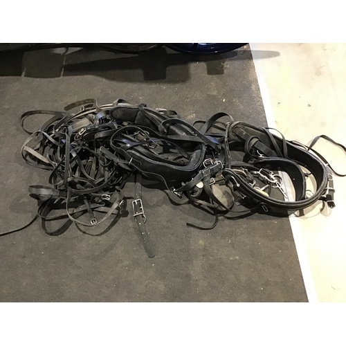 148A - Harness