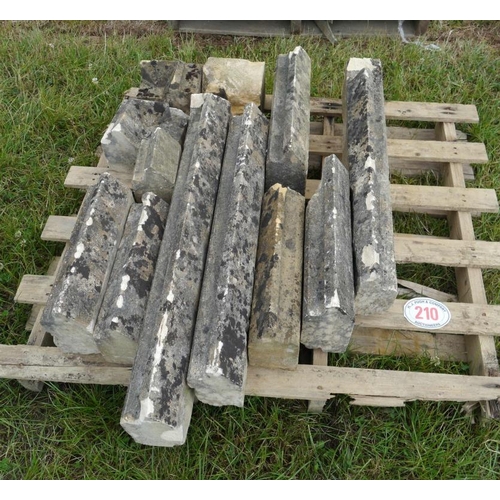 Lot 210       