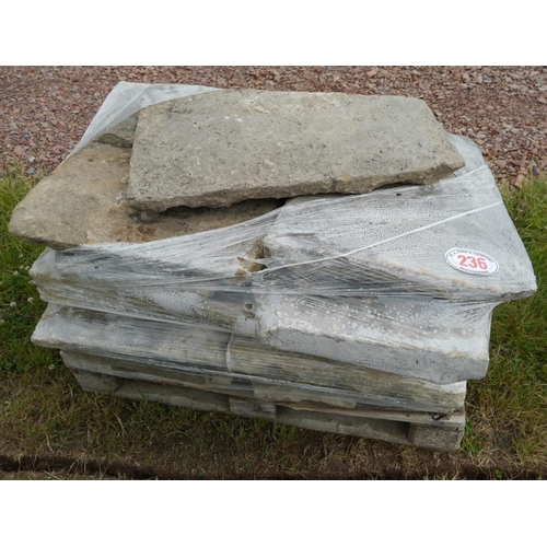 Lot 236       