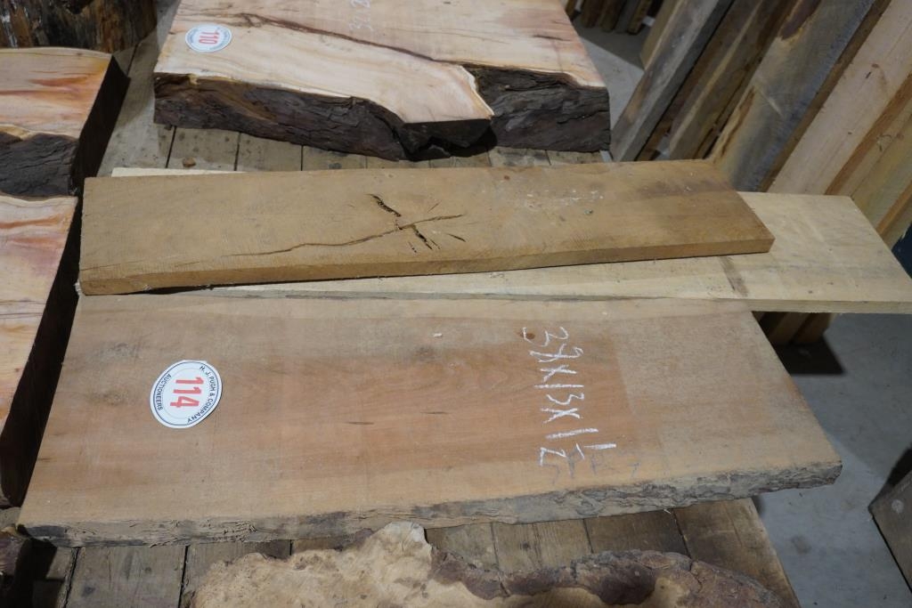 Oak, yew etc -3