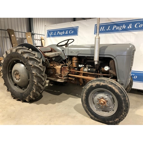 Ferguson FE35 grey/gold tractor. 1956. Complete overhaul and ...