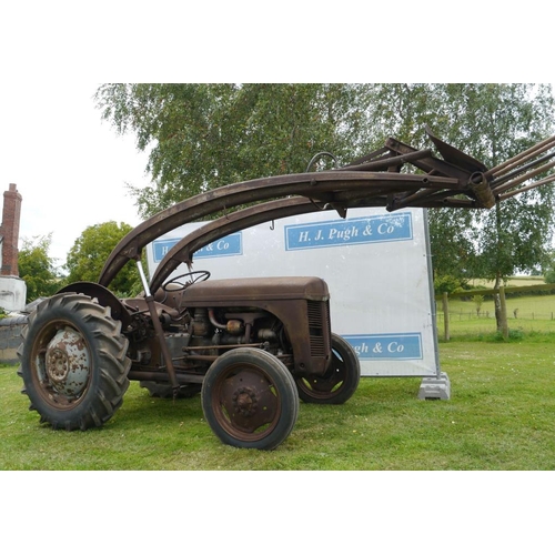 384 - Ferguson TEF diesel tractor. 1954. SN. TEF389223. Runs and drives well with banana loader and muck f... 