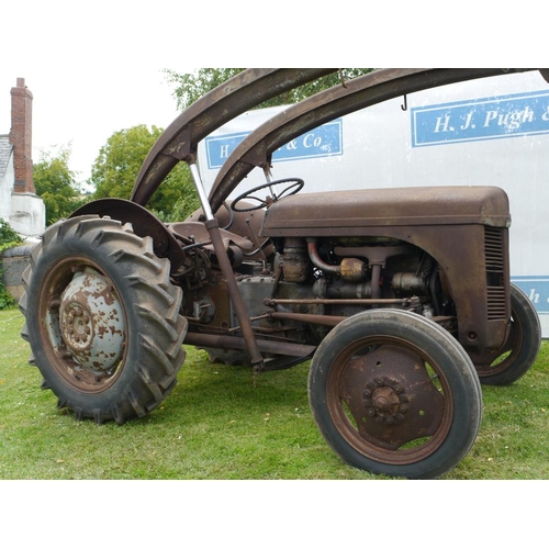 384 - Ferguson TEF diesel tractor. 1954. SN. TEF389223. Runs and drives well with banana loader and muck f... 