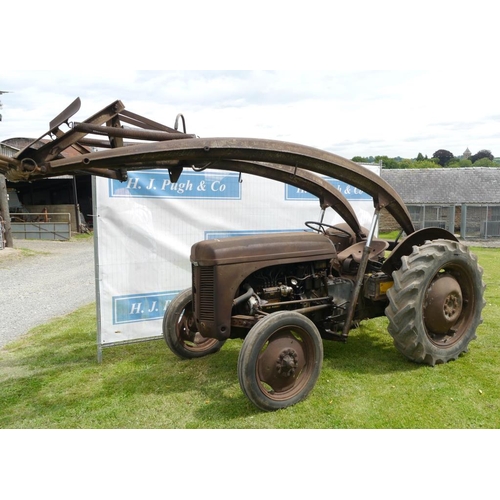 384 - Ferguson TEF diesel tractor. 1954. SN. TEF389223. Runs and drives well with banana loader and muck f... 