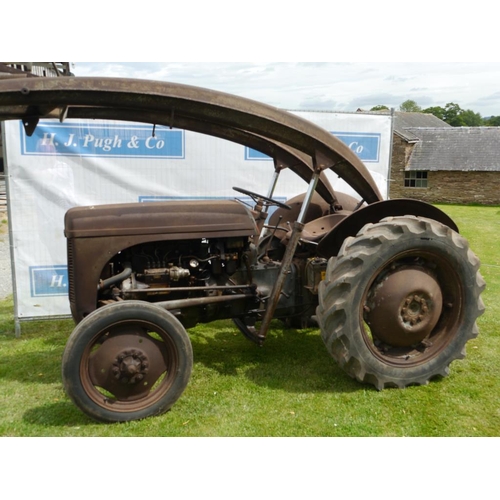 384 - Ferguson TEF diesel tractor. 1954. SN. TEF389223. Runs and drives well with banana loader and muck f... 