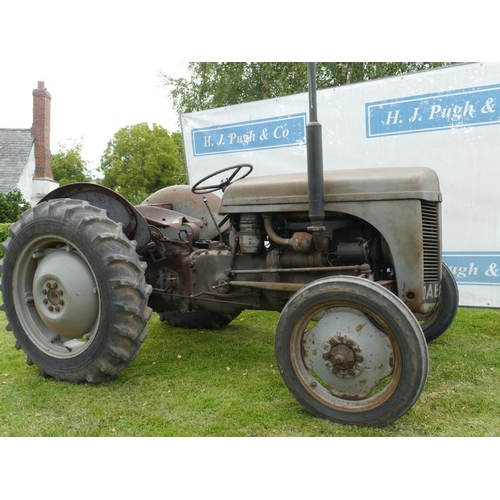 386 - Ferguson TEF diesel tractor. 1954. SN. TEF403398. Runs and drives. Reg. OAB 526