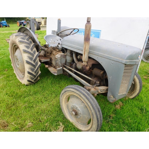 141 - Ferguson TEF diesel tractor. roll bar frame, belt pulley, SN.368425, c/w cordwood saw bench Reg. PDV... 