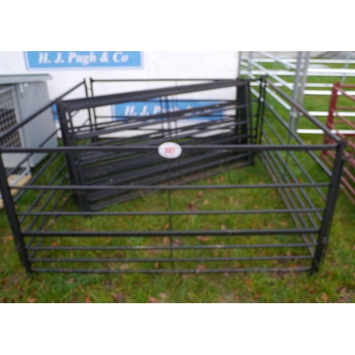 881 - Painted sheep hurdles 6ft -10 +VAT