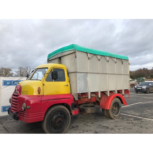 164 - Bedford S type bulk grain tipper. 1953. 7ton, petrol. Chassis No. SSC18228. Reg. 979 UXU. V5