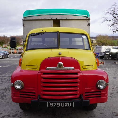 164 - Bedford S type bulk grain tipper. 1953. 7ton, petrol. Chassis No. SSC18228. Reg. 979 UXU. V5