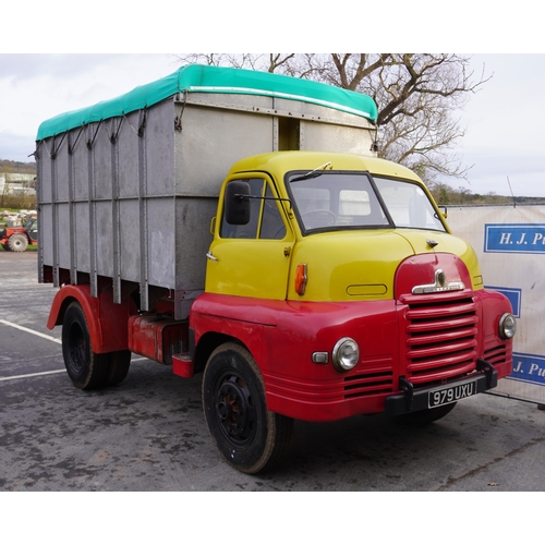 164 - Bedford S type bulk grain tipper. 1953. 7ton, petrol. Chassis No. SSC18228. Reg. 979 UXU. V5