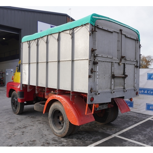 164 - Bedford S type bulk grain tipper. 1953. 7ton, petrol. Chassis No. SSC18228. Reg. 979 UXU. V5