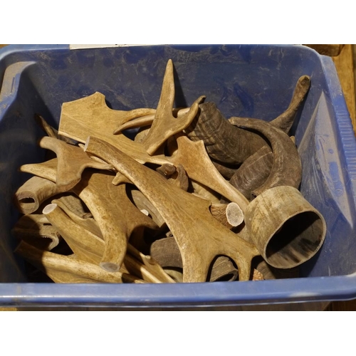 115 - Box of horns and antlers