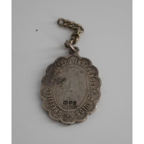 348 - Hallmarked silver druids/masonic pendant