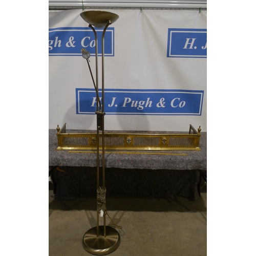 307 - Brass lamp and fire fender