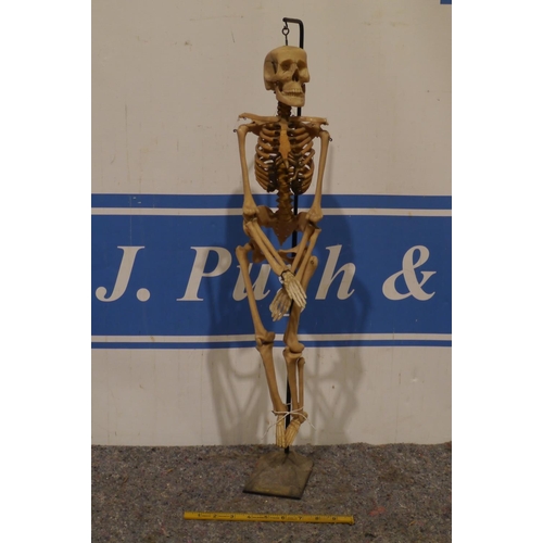 789 - Skeleton ornament on stand