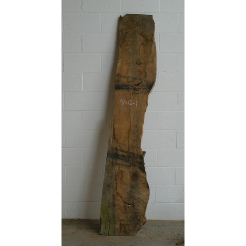 155 - Oak 97x12x1 -1