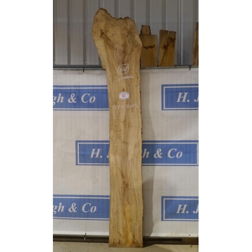 47 - Sycamore 95x12x1 1/4 -1 +VAT