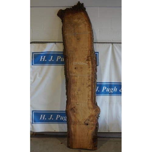 97 - Oak 101x20x2 -1 +VAT