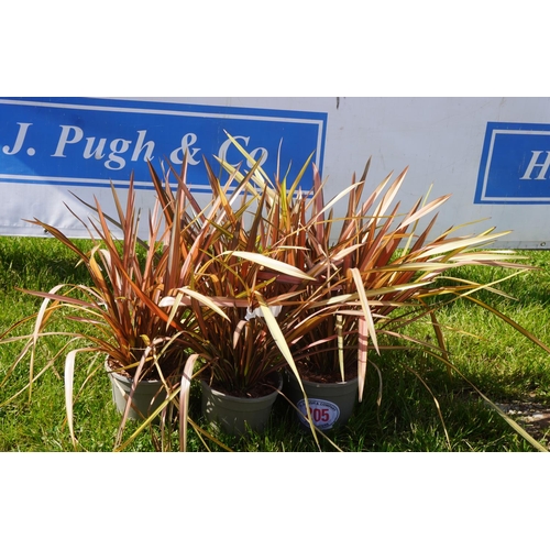 205 - Phormium 5 +VAT