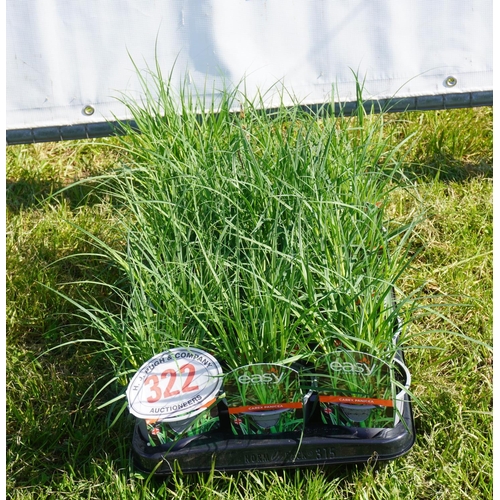 322 - Carex 15 +VAT