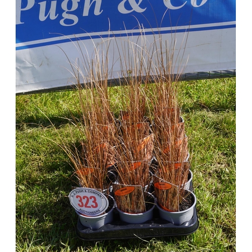 323 - Grasses 15 +VAT