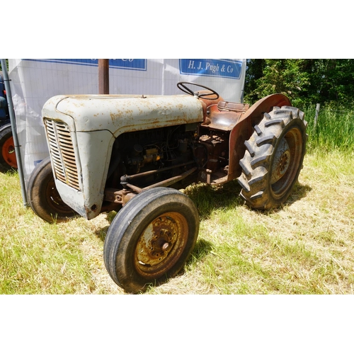 117 - Massey Ferguson 35 tractor orchard model. 1959.Two owners. Ex Guinness hop farm. Reg. RAP 91. Buff l... 