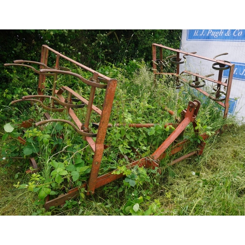 4 - Spring tine cultivator