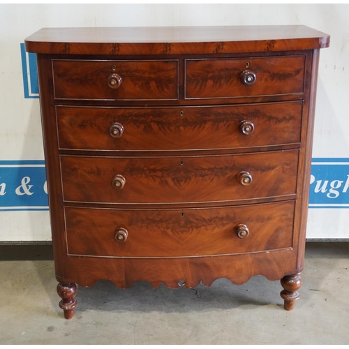 240 - Mahogany bow fronted 2 short and 3 long graduated chest of drawers 51x48