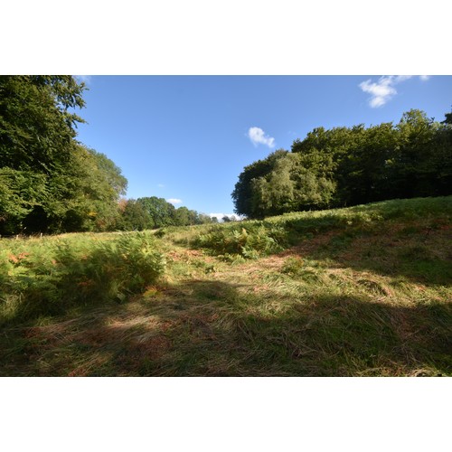 7 - 3.81 Acres land adjacent to Rockleach Farm, Great Doward, Symonds Yat, Ross on Wye, Herefordshire HR... 
