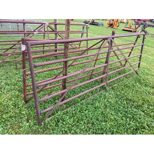 51 - Yard gates 10ft -2