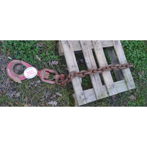 1262 - Swivel lifting chain