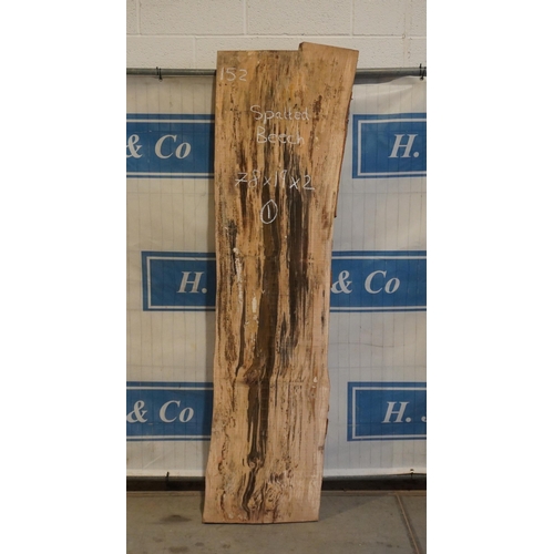 152 - Spalted beech 78x19x2