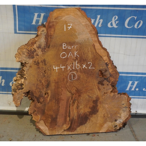 17 - Burr Oak 44x16x2