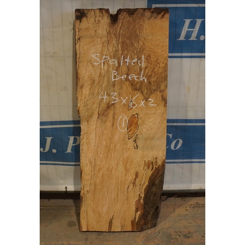 237 - Spalted beech 43x16x2