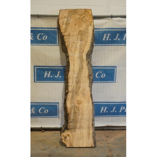 242 - Spalted sycamore 80x10x2