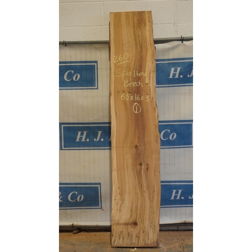 260 - Spalted beech 85x16x3