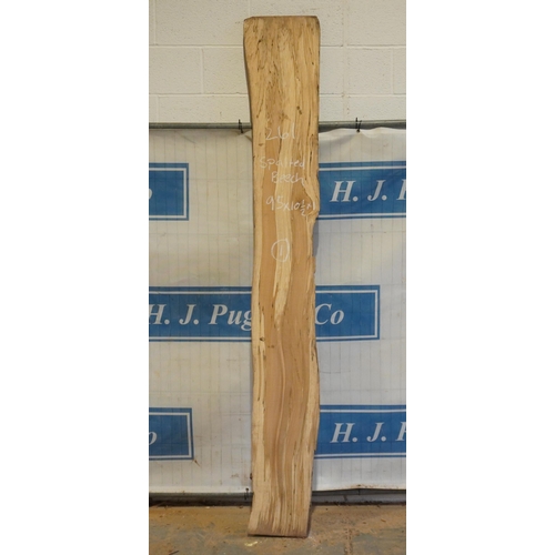 261 - Spalted beech 95x10.5x1