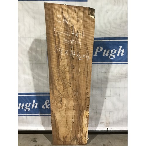 210 - Spalted beech 54x14.5x4